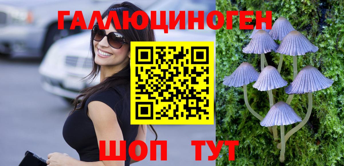 Псилоцибиновые грибы Cubensis Тобольск