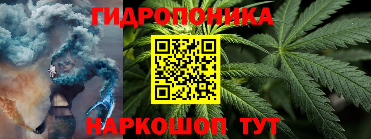 Бошки марихуана планчик  Вход с VPN  Марихуана Bruce Banner  Тобольск  Бошки Шишки ГИДРОПОН 